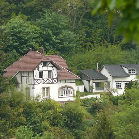 La Dependance De La Villa Des Oiseaux - La Petite Pierre Экстерьер фото