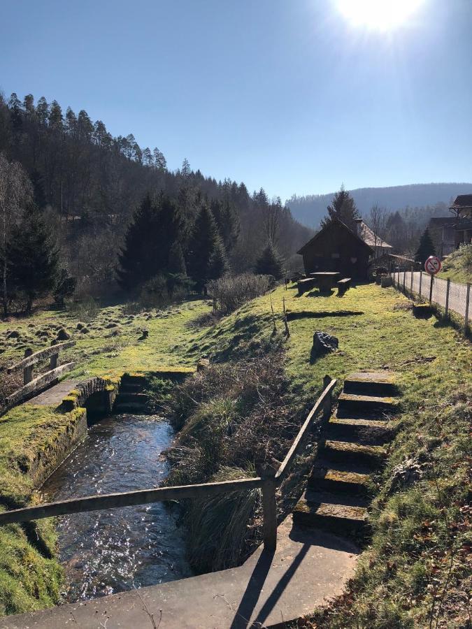 La Dependance De La Villa Des Oiseaux - La Petite Pierre Экстерьер фото