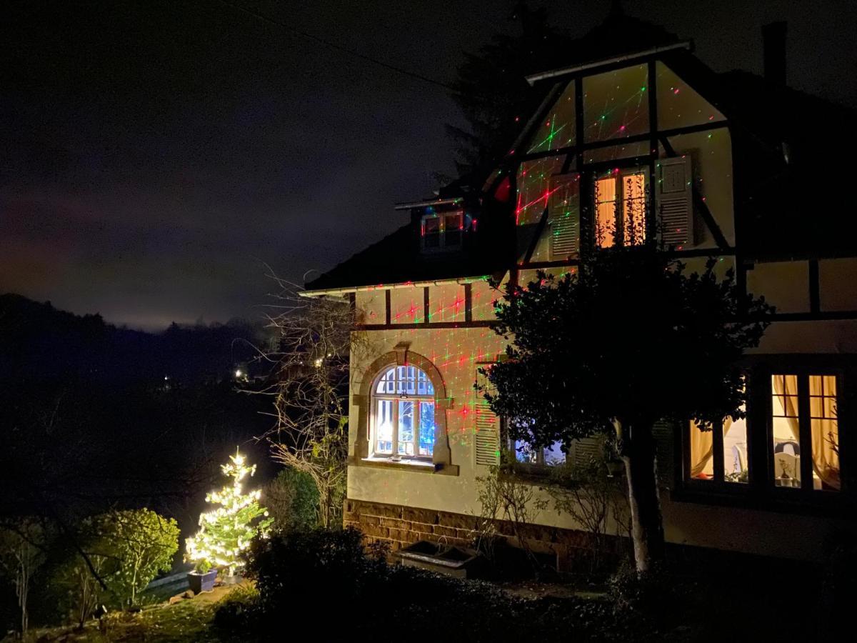 La Dependance De La Villa Des Oiseaux - La Petite Pierre Экстерьер фото