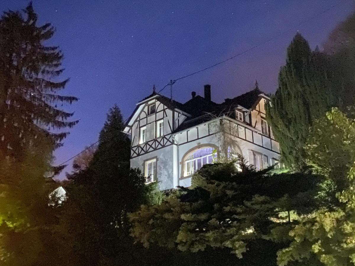 La Dependance De La Villa Des Oiseaux - La Petite Pierre Экстерьер фото