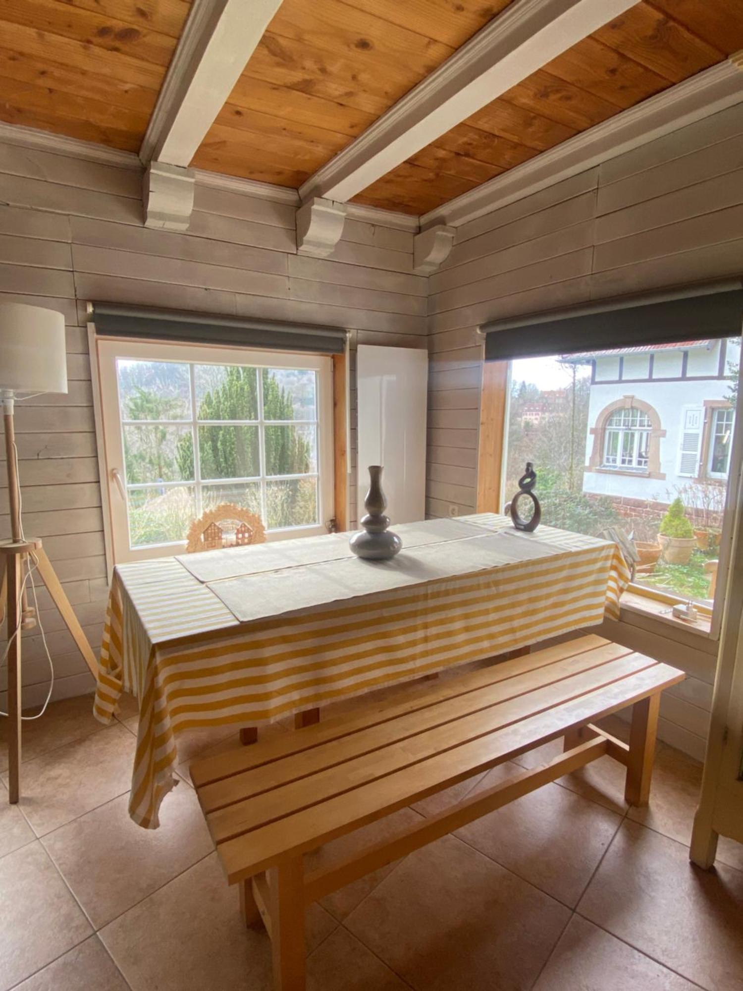 La Dependance De La Villa Des Oiseaux - La Petite Pierre Экстерьер фото