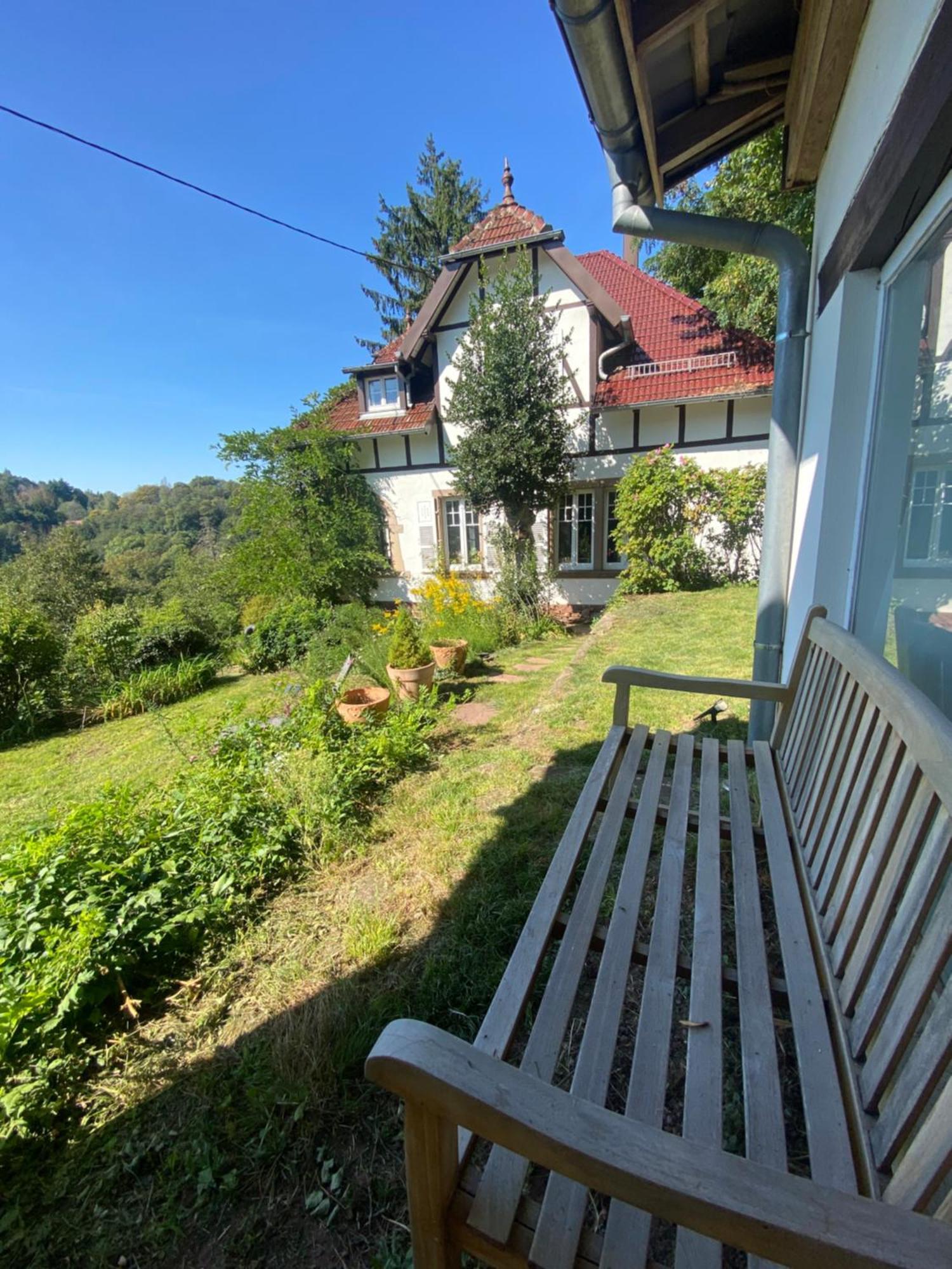 La Dependance De La Villa Des Oiseaux - La Petite Pierre Экстерьер фото