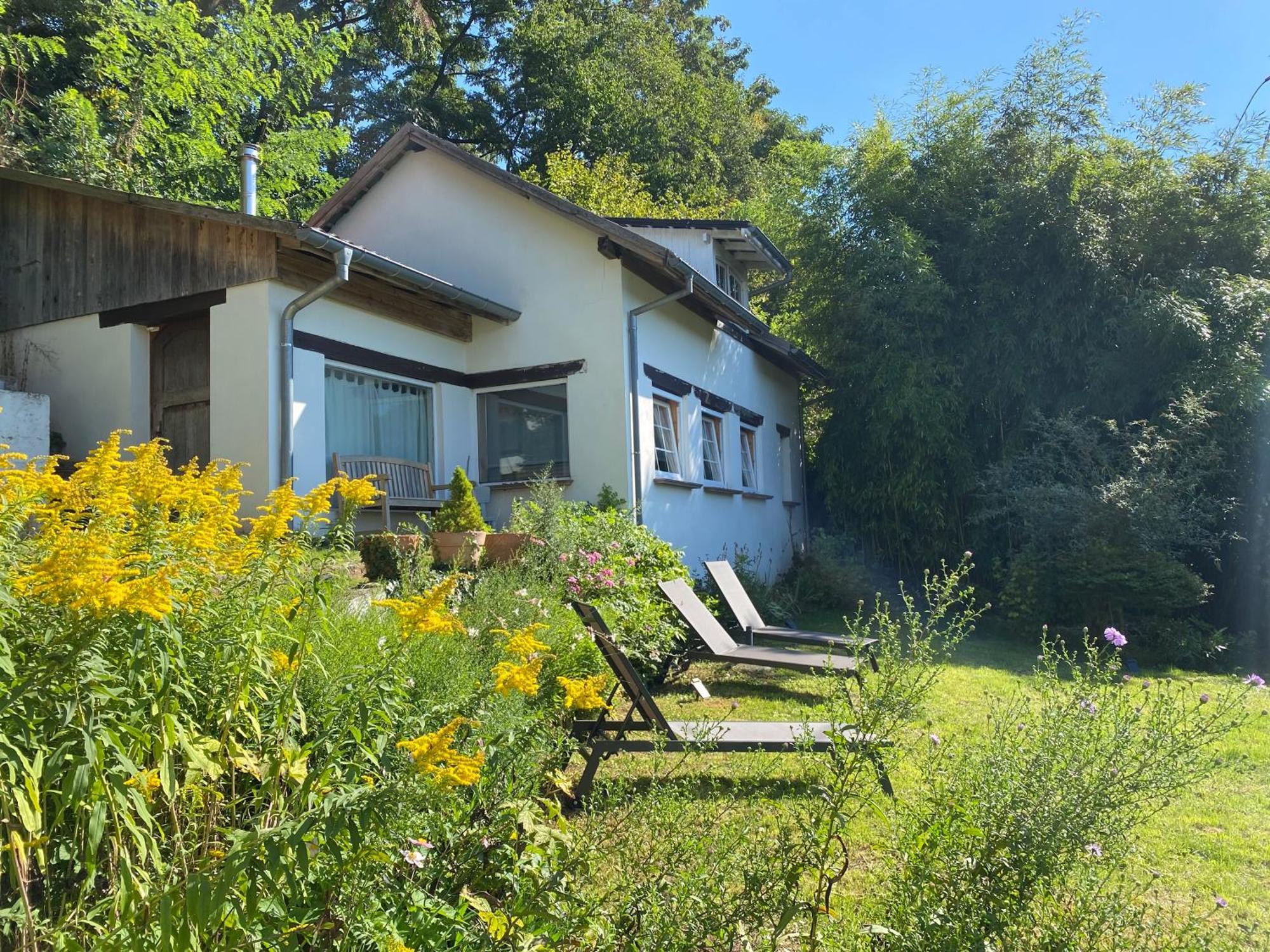 La Dependance De La Villa Des Oiseaux - La Petite Pierre Экстерьер фото
