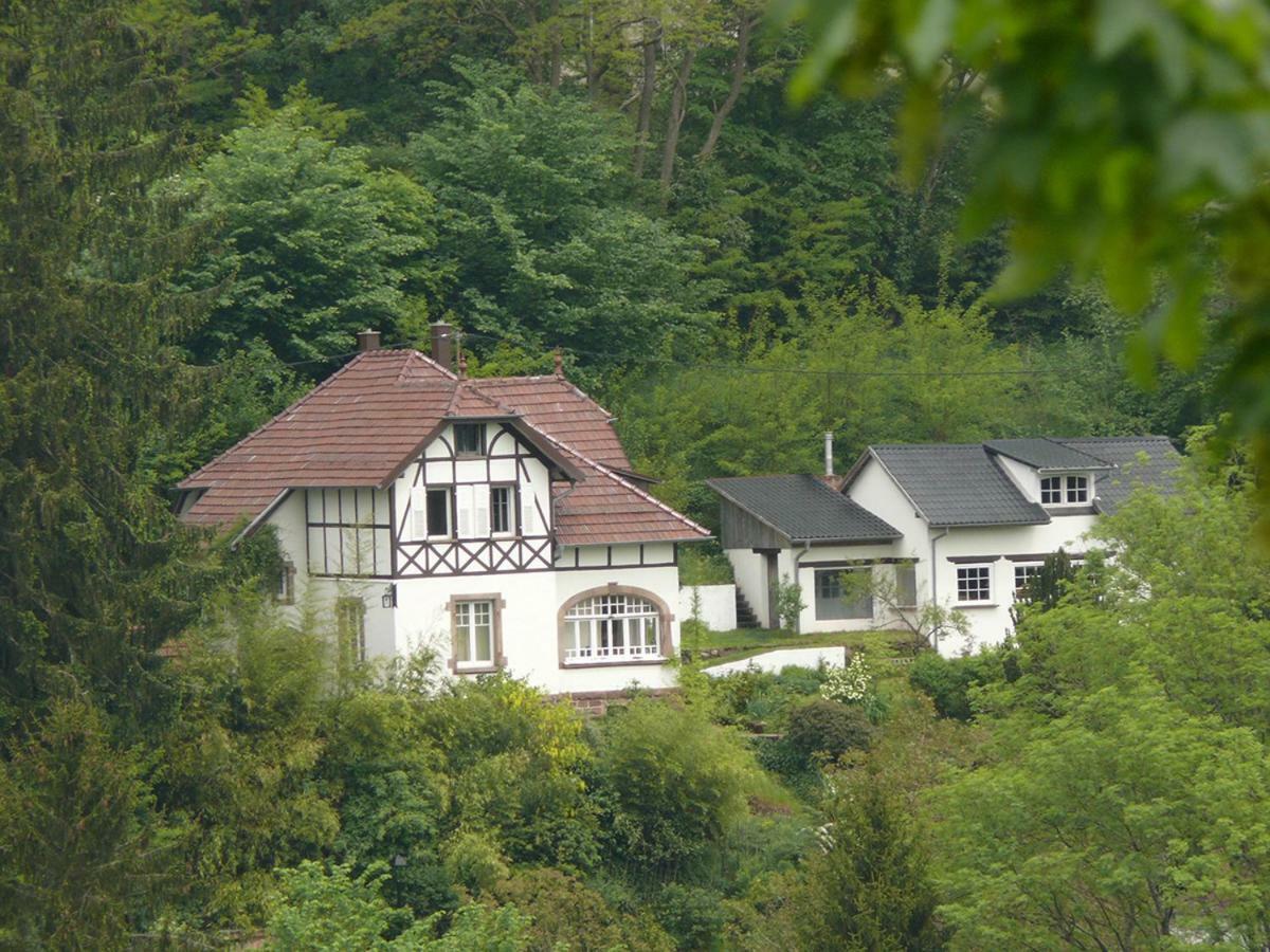 La Dependance De La Villa Des Oiseaux - La Petite Pierre Экстерьер фото