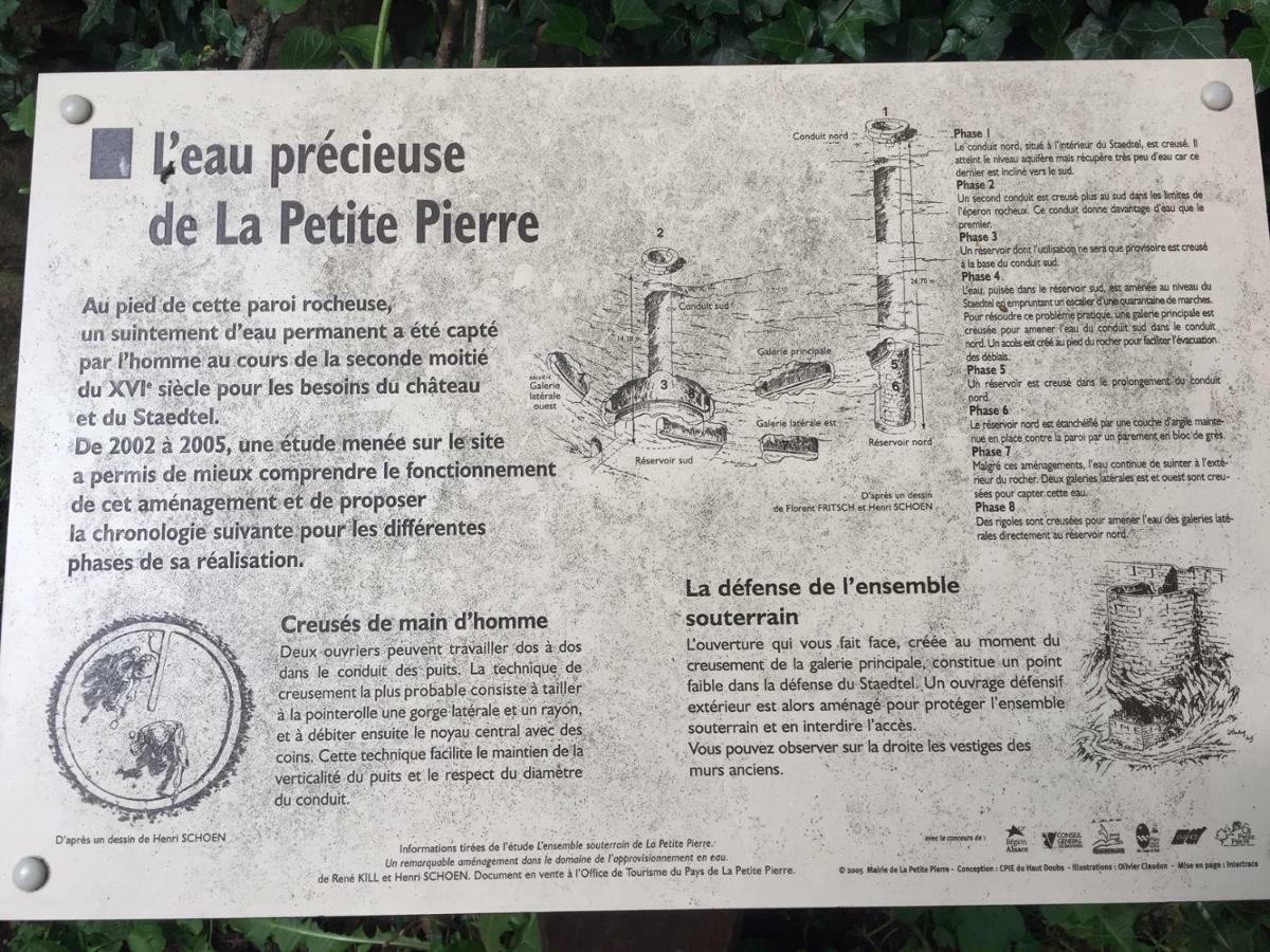 La Dependance De La Villa Des Oiseaux - La Petite Pierre Экстерьер фото