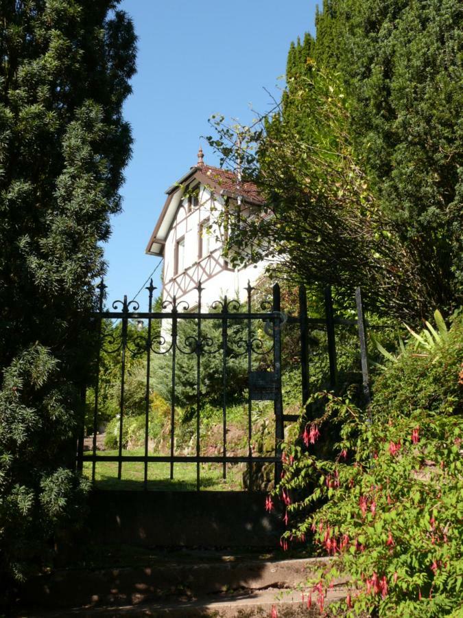 La Dependance De La Villa Des Oiseaux - La Petite Pierre Экстерьер фото